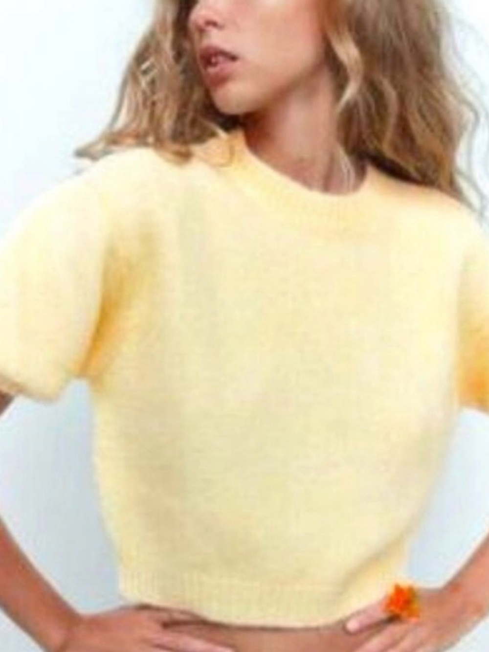Zara Pale Yellow Short Sleeve Knit Top